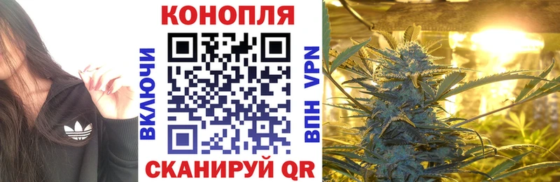 МАРИХУАНА сатива  Кунгур 